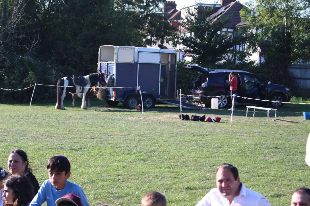 Fun Day