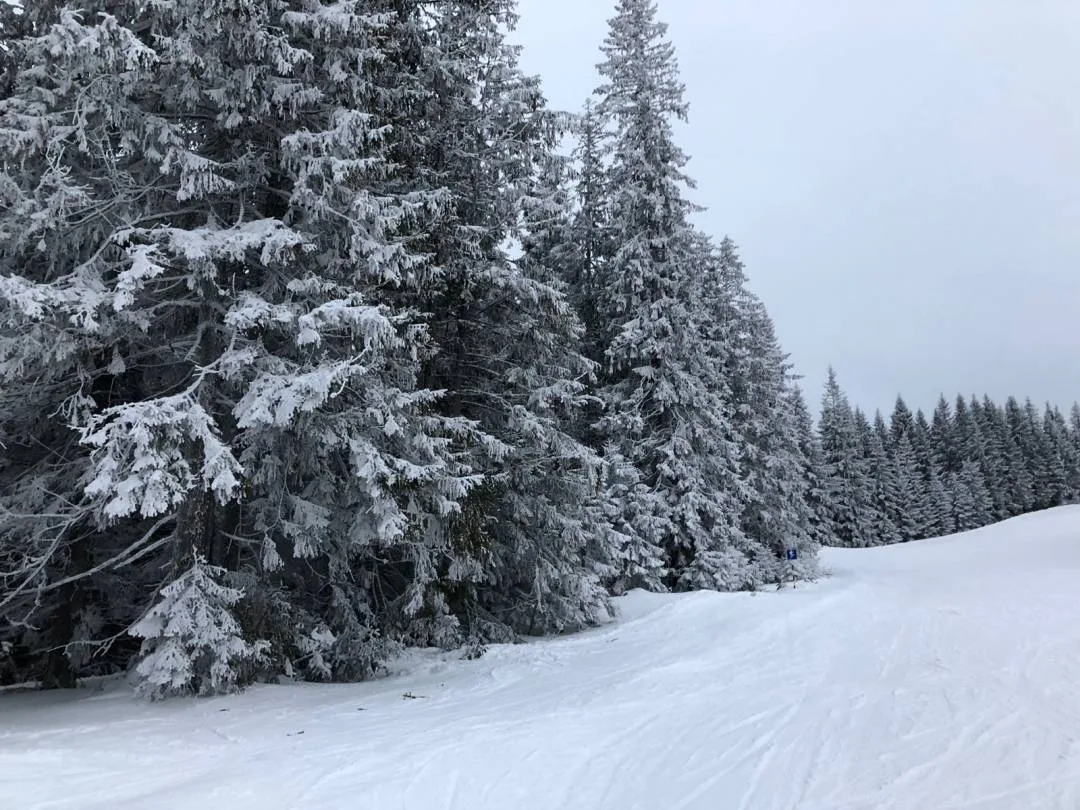 Ski Trip Slovakia