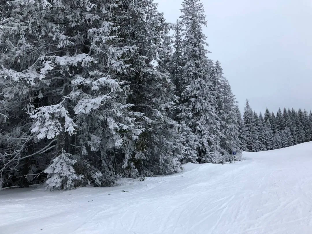 Ski Trip Slovakia