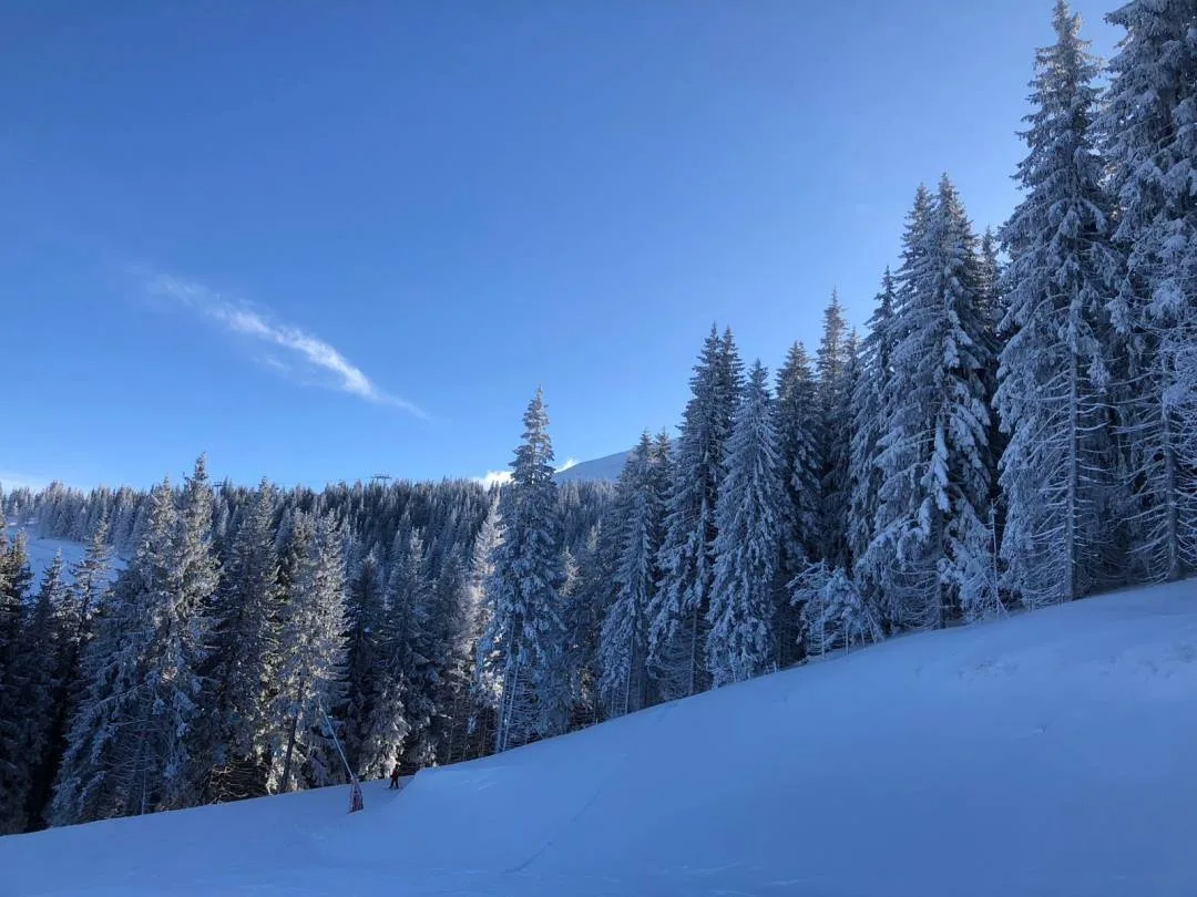 Ski Trip Slovakia